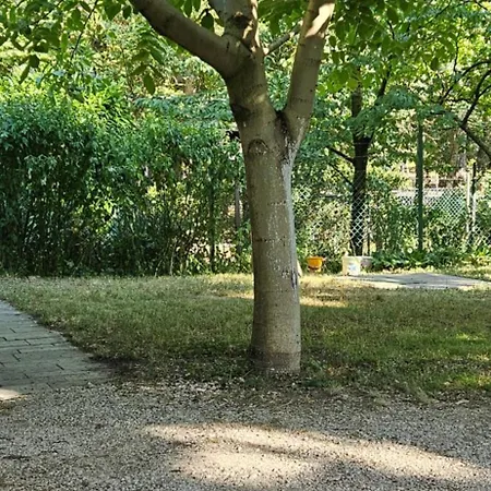 Accommodatie bij particulieren Gyoengyi Vendeghaz
